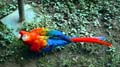 Caracas Zoologico 022